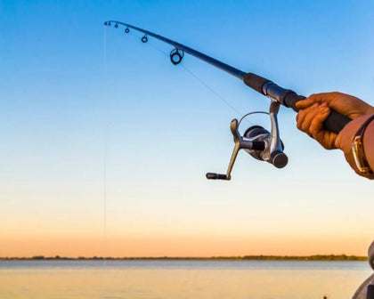 Fishing Rod and Sunset